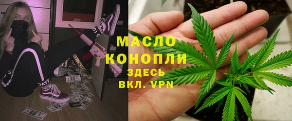 твердый Арсеньев